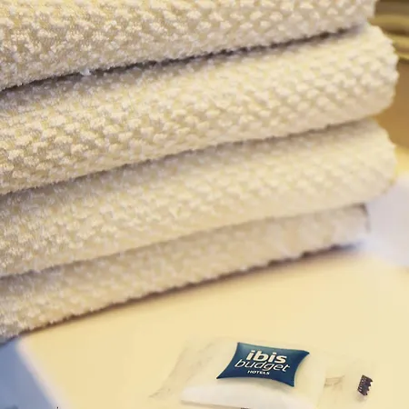Ibis Budget Centre Hotel Tolone